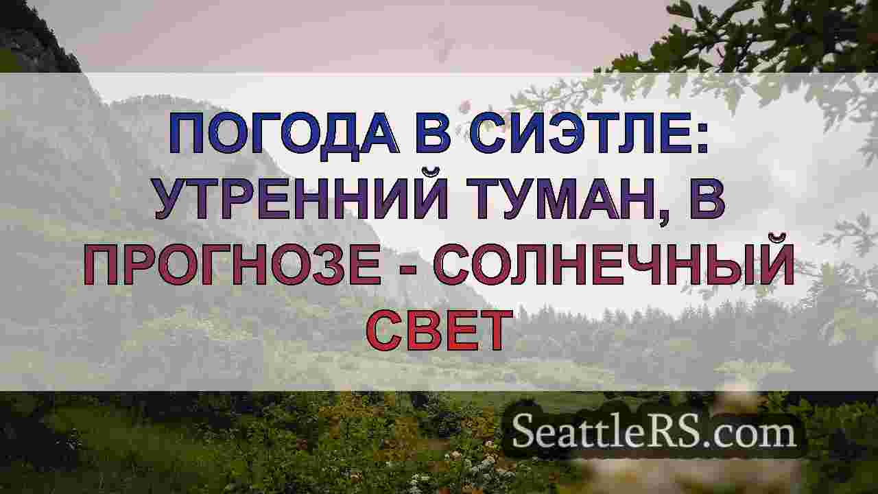Погода в Сиэтле: Прохладные порывы