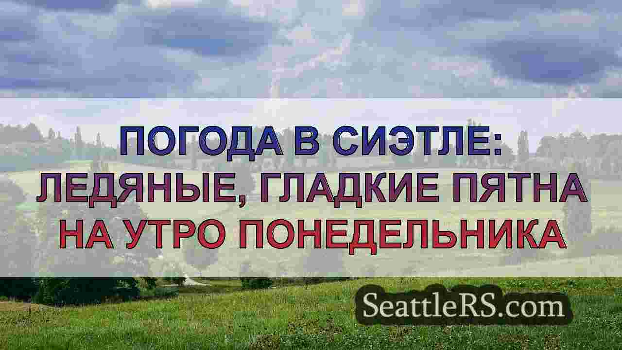 Холодный растяжение в Сиэтле с влажной