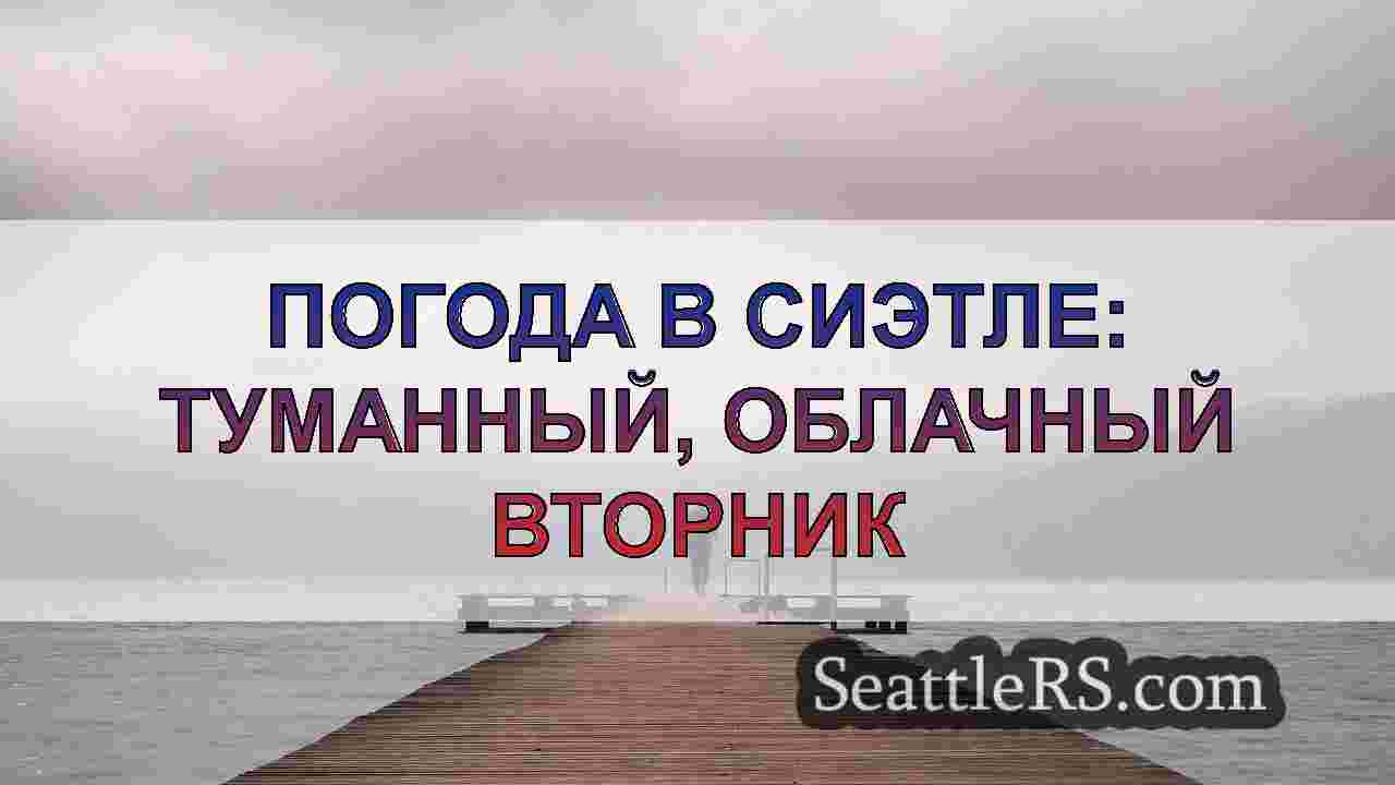 Погода в Сиэтле: Прохладная и сухая