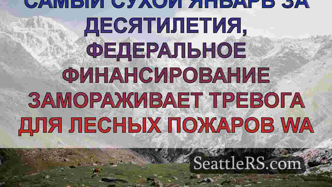 Самый сухой январь за десятилетия,