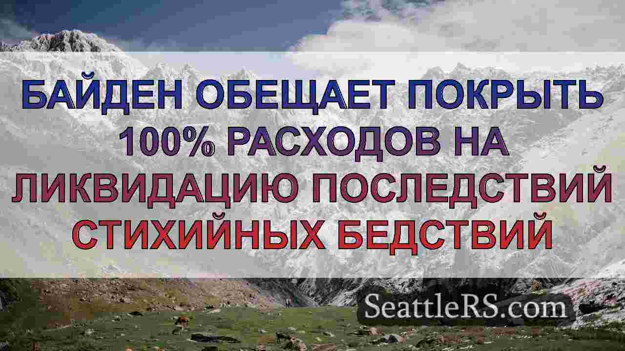 Последние новости о лесных пожарах в