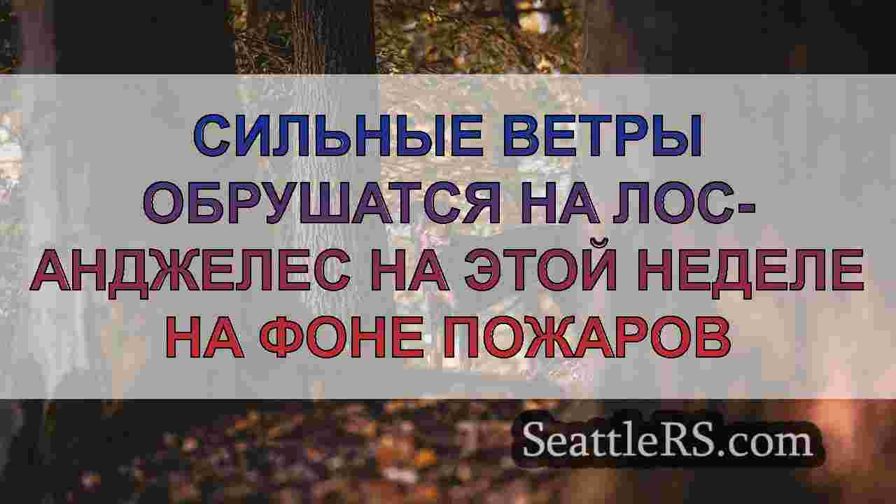 Новости Сиэтла SeattleRS