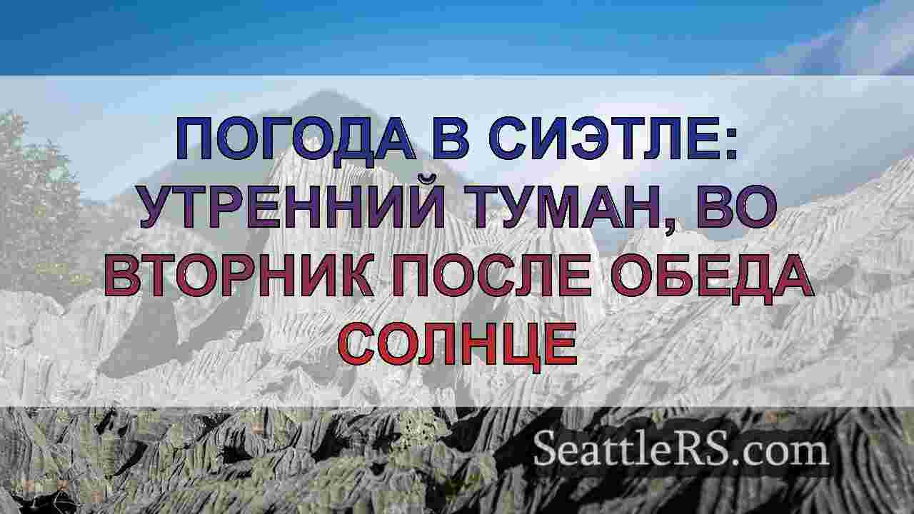 Погода в Сиэтле: Прохладное и туманное