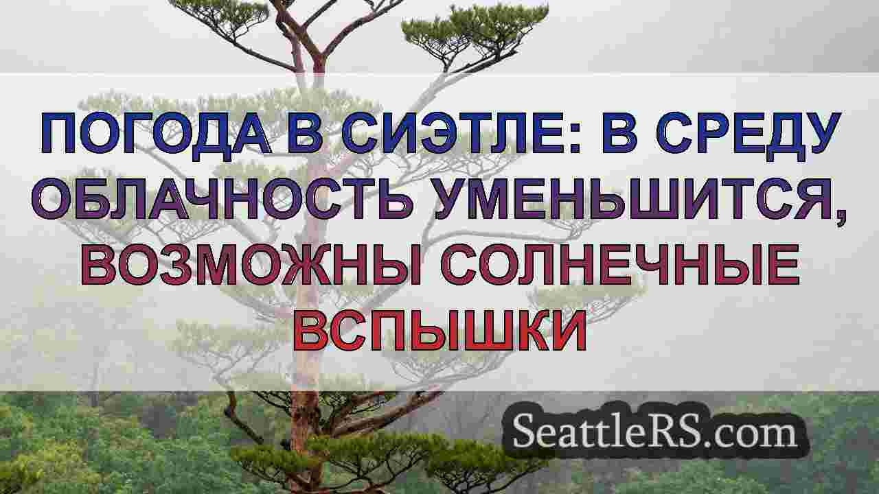 Ошеломляющее январское солнце, сухая