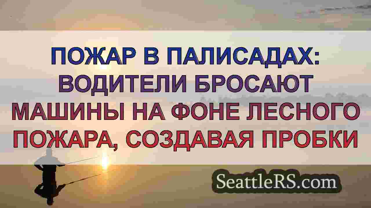 Последние новости о лесных пожарах в