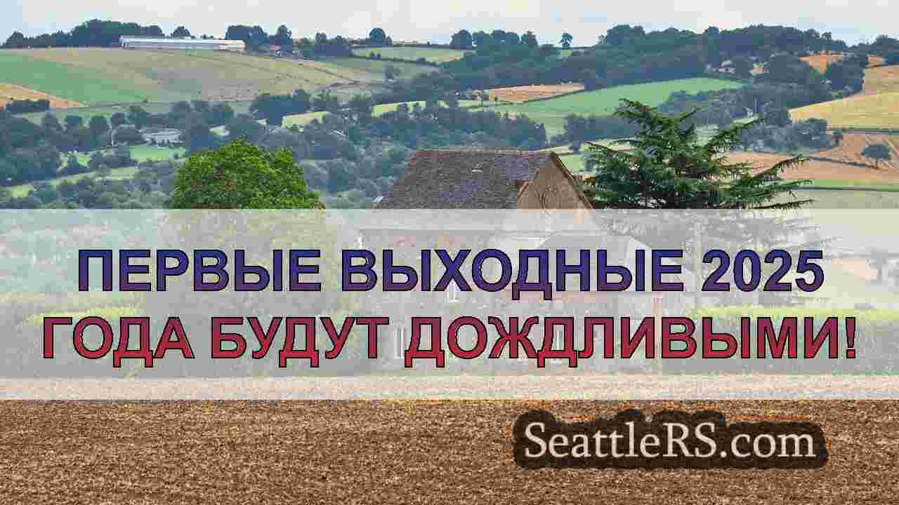 Погода в Сиэтле: Ветреный и влажный