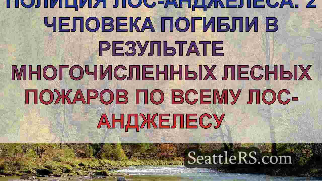 Последние новости о лесных пожарах в