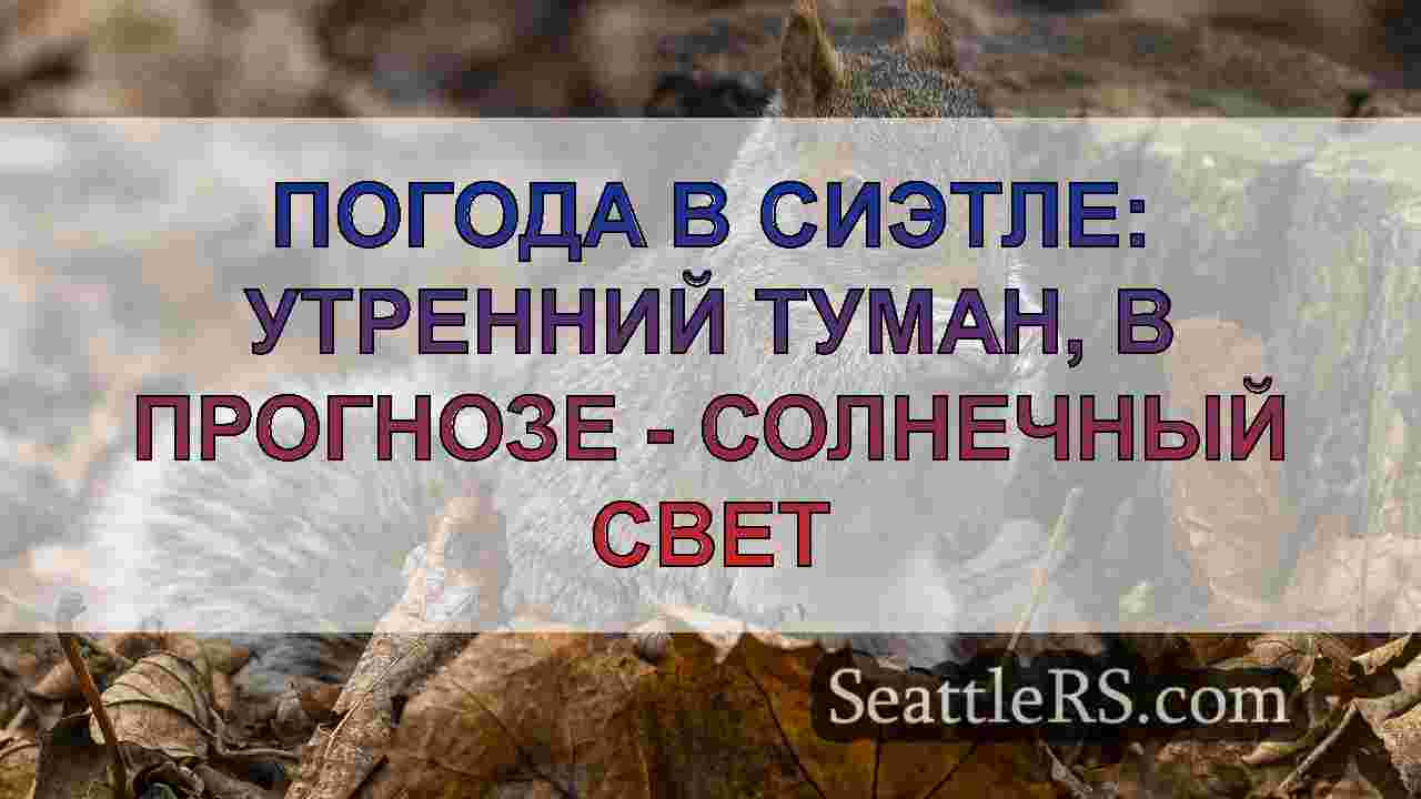 Новости Сиэтла SeattleRS