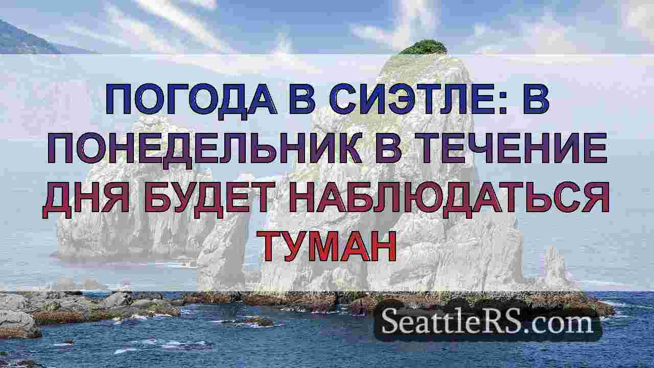 Погода в Сиэтле в середине января: Есть
