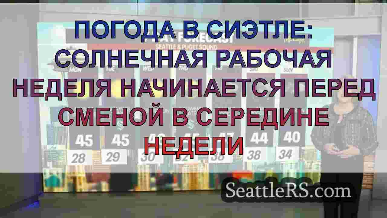 Погода в Сиэтле: солнечная рабочая