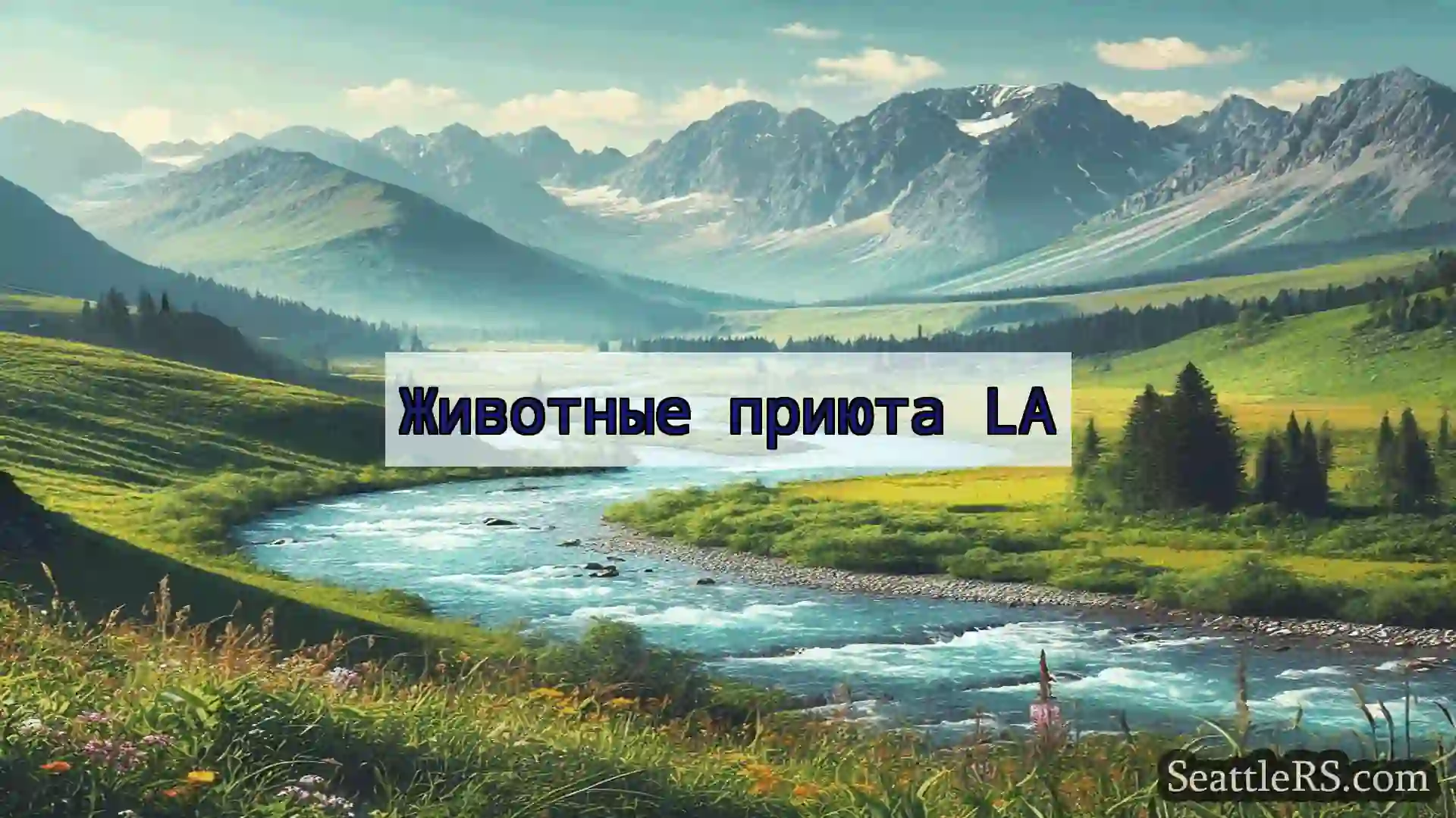 Сиэтл новости Животные приюта LA