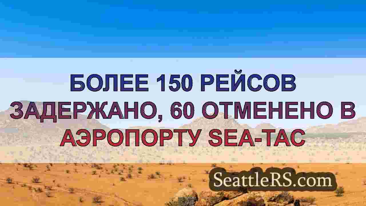 Более 150 рейсов задержано, 60 отменено