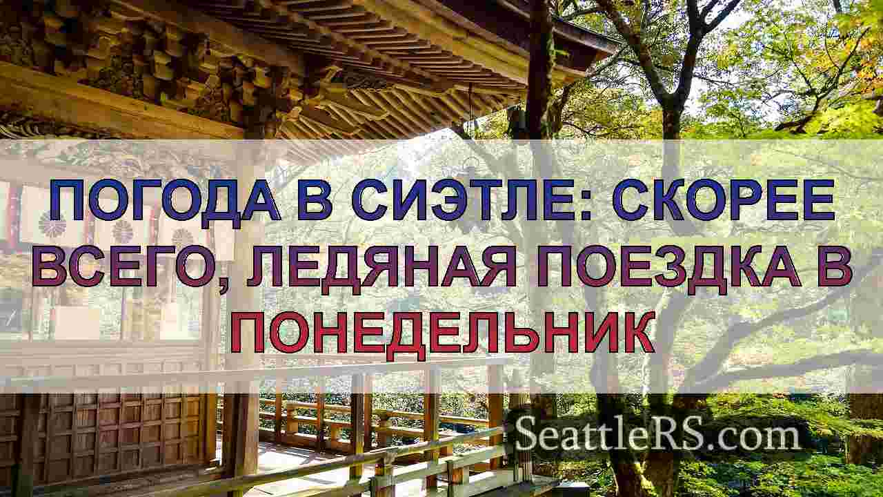 Погода в Сиэтле: скорее всего, ледяная
