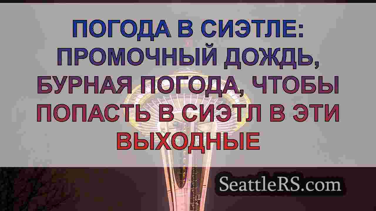Погода в Сиэтле: промочный дождь,