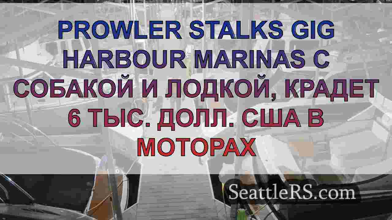 Prowler Stalks Gig Harbour Marinas с