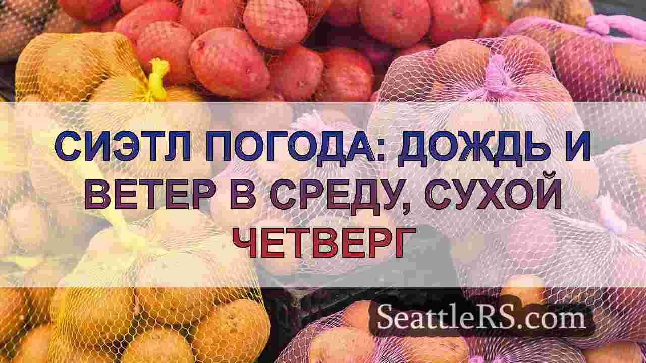 Сиэтл погода: дождь и ветер в среду,