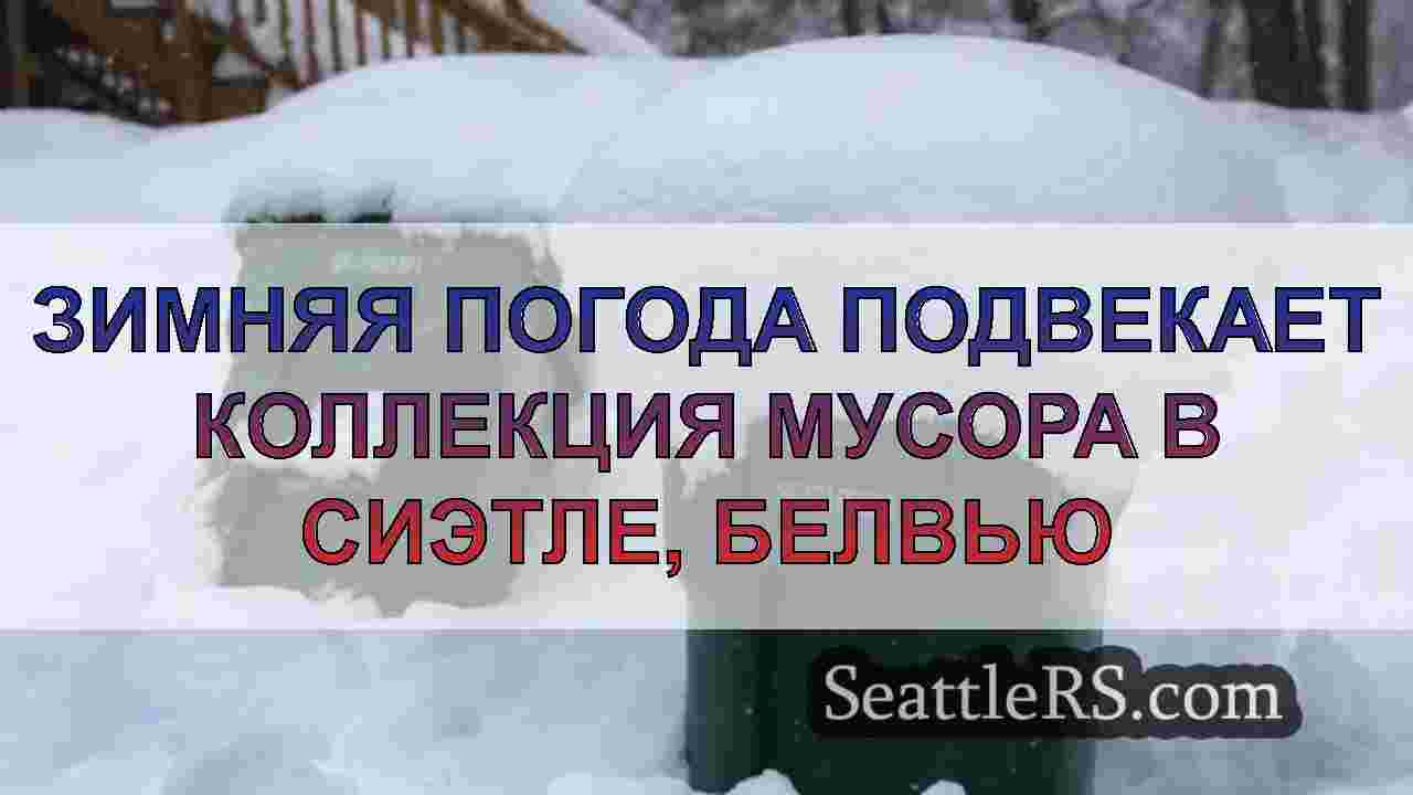 Зимняя погода подвекает коллекция