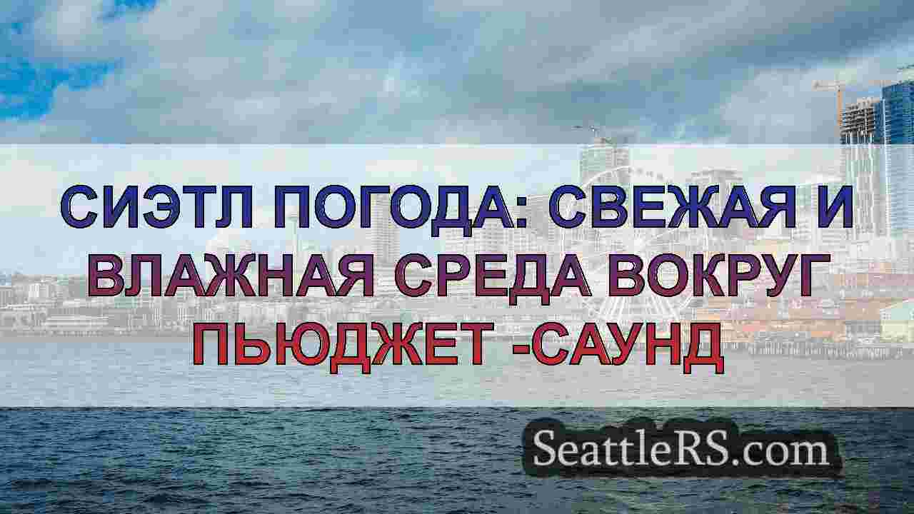 Сиэтл Погода: свежая и влажная среда