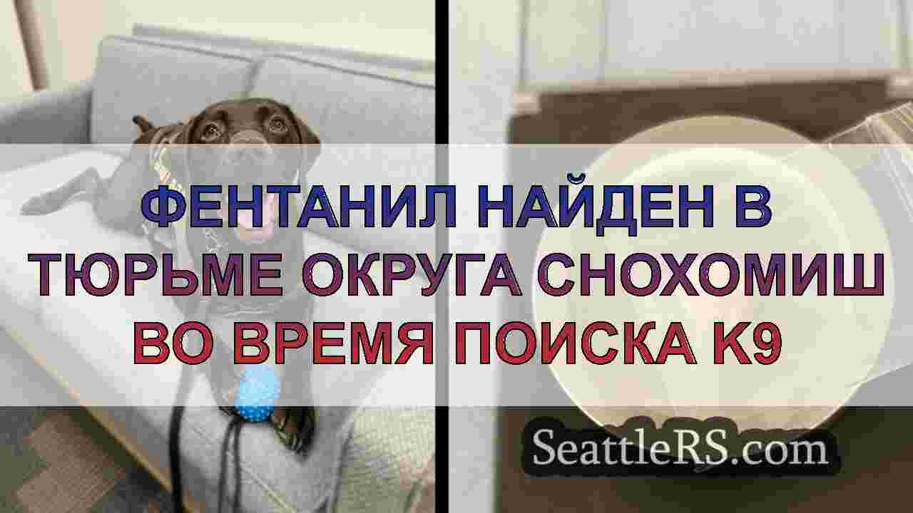 Фентанил найден в тюрьме округа