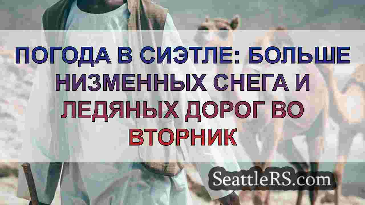 Погода в Сиэтле: больше низменных снега