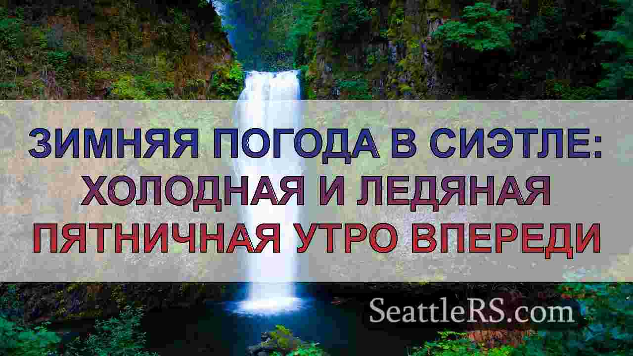 Зимняя погода в Сиэтле: холодная и