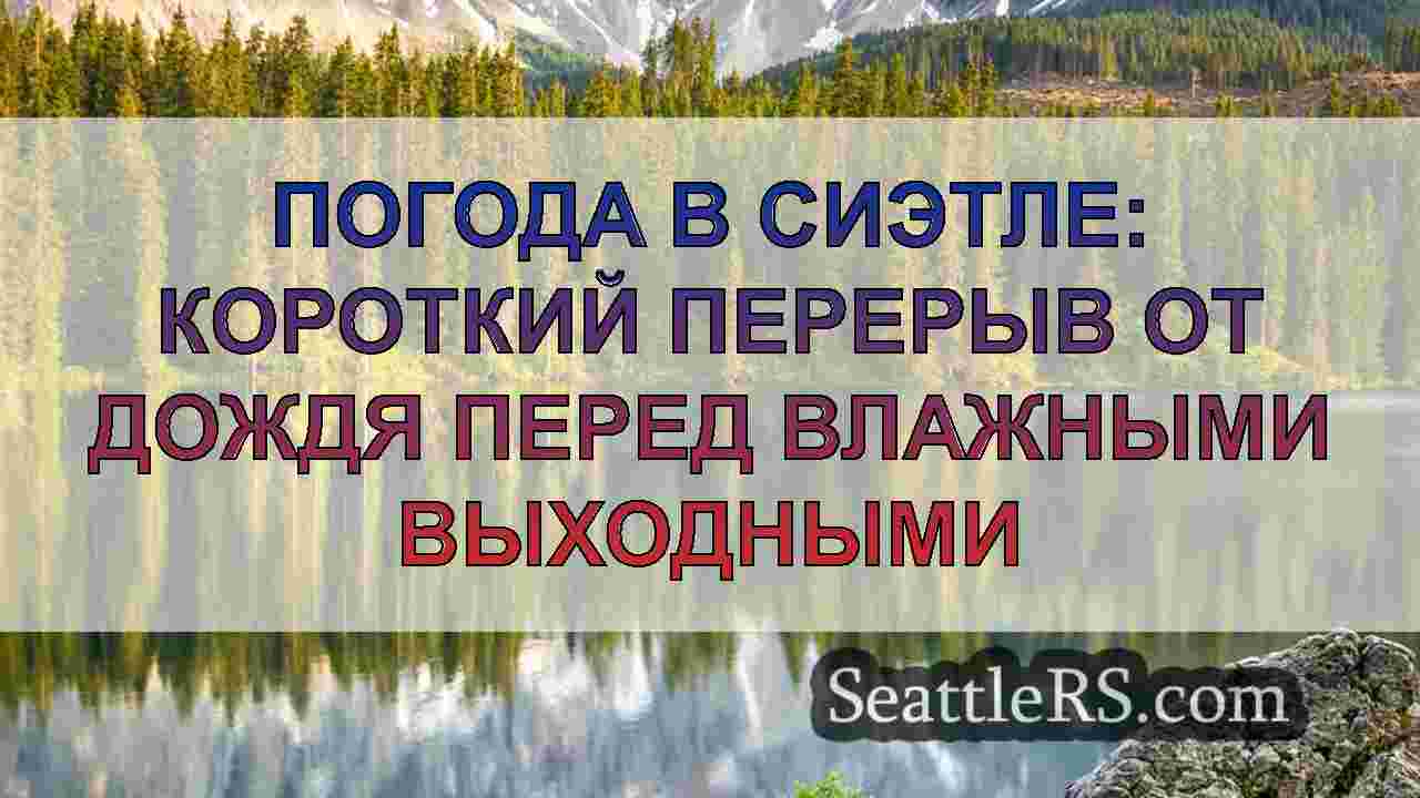 Погода в Сиэтле: короткий перерыв от