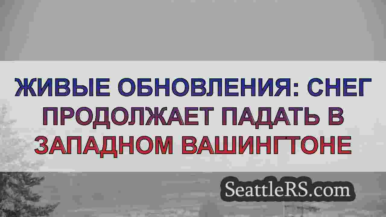 Живые обновления: снег продолжает