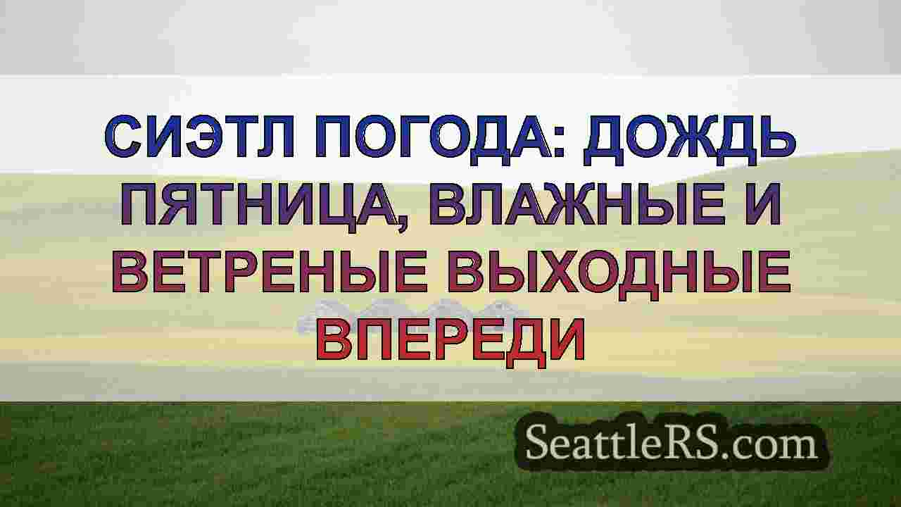 Сиэтл погода: дождь пятница, влажные и
