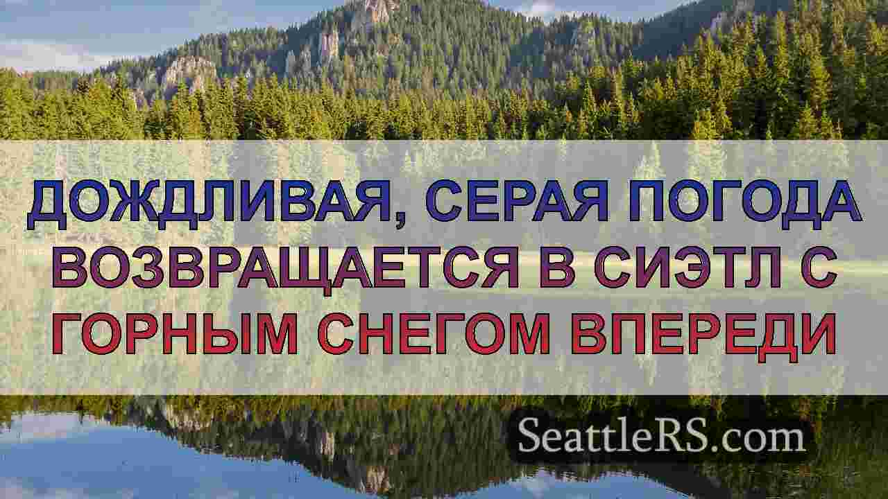 Новости Сиэтла SeattleRS