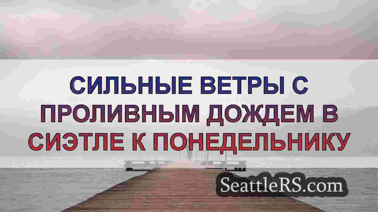Сильные ветры с проливным дождем в