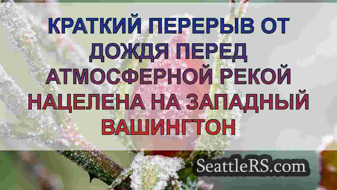 Новости Сиэтла SeattleRS