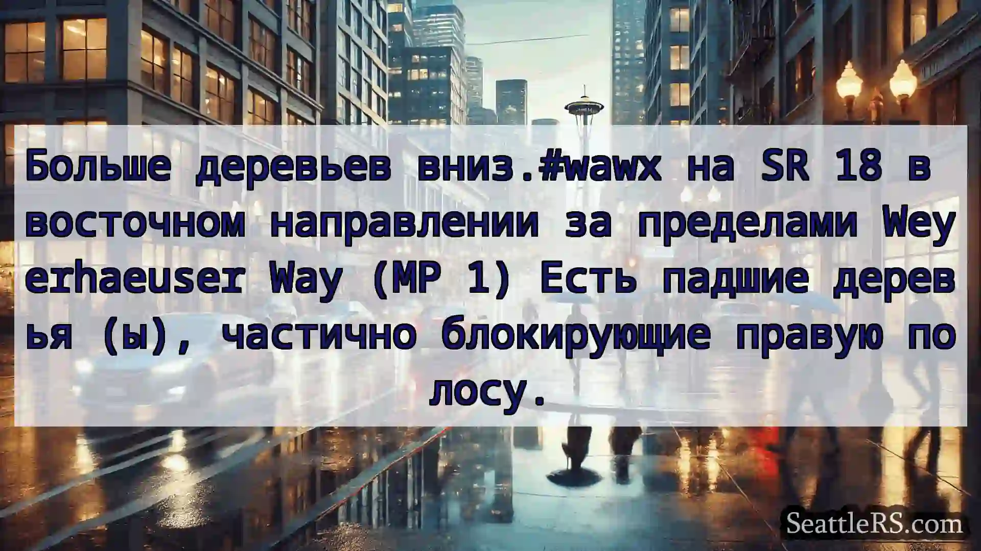 Больше деревьев вниз.#wawx на SR 18 в восточном