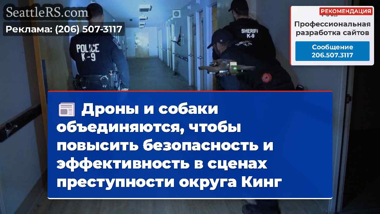 Дроны и собаки объединяются, чтобы повысить