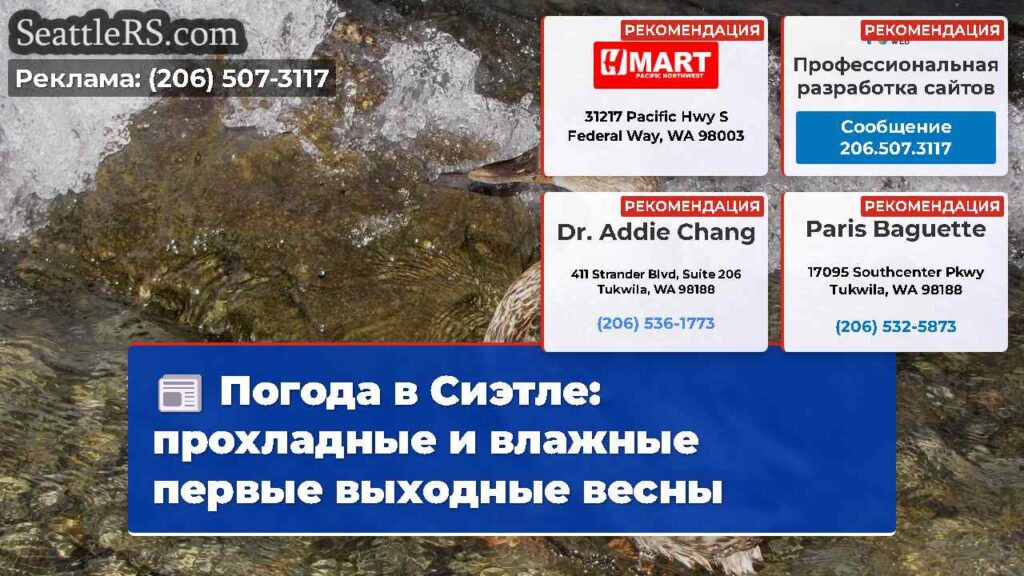 Погода в Сиэтле: прохладные и влажные первые