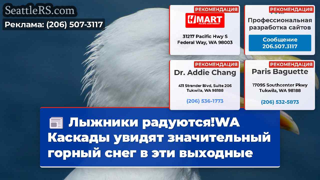 Лыжники радуются!WA Каскады увидят значительный