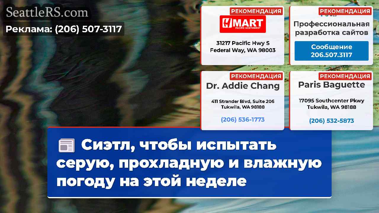 Сиэтл, чтобы испытать серую, прохладную и влажную