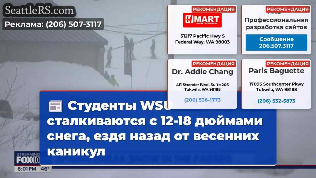 Студенты WSU сталкиваются с 12-18 дюймами снега,