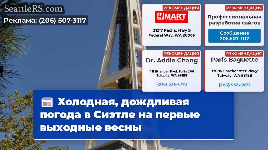 Холодная, дождливая погода в Сиэтле на первые