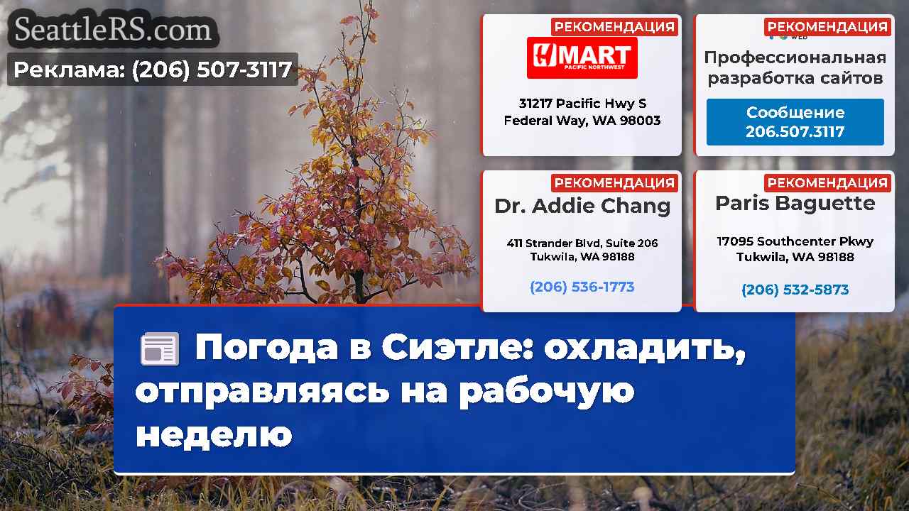 Погода в Сиэтле: охладить, отправляясь на рабочую