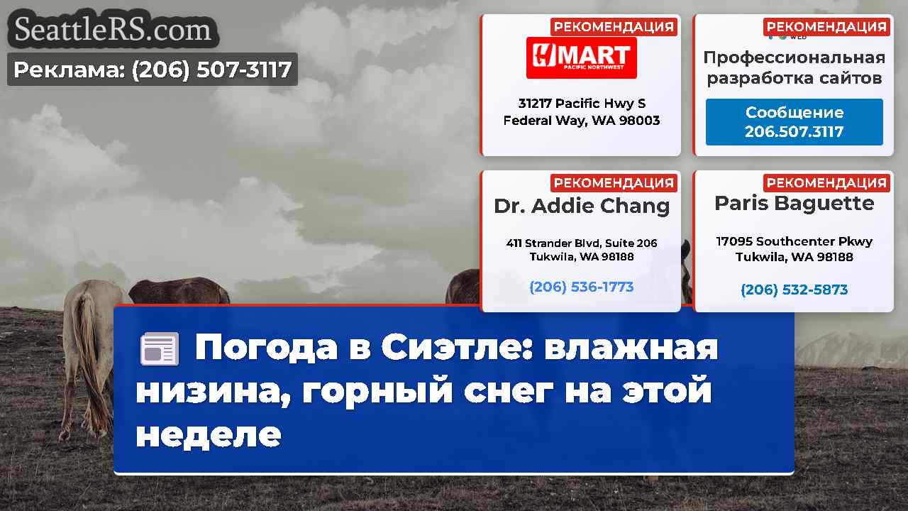 Новости Сиэтла SeattleRS