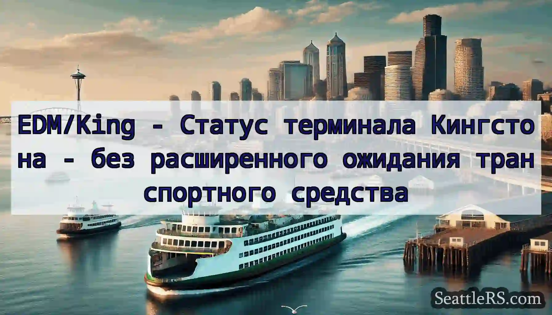 EDM/King - Статус терминала Кингстона - без