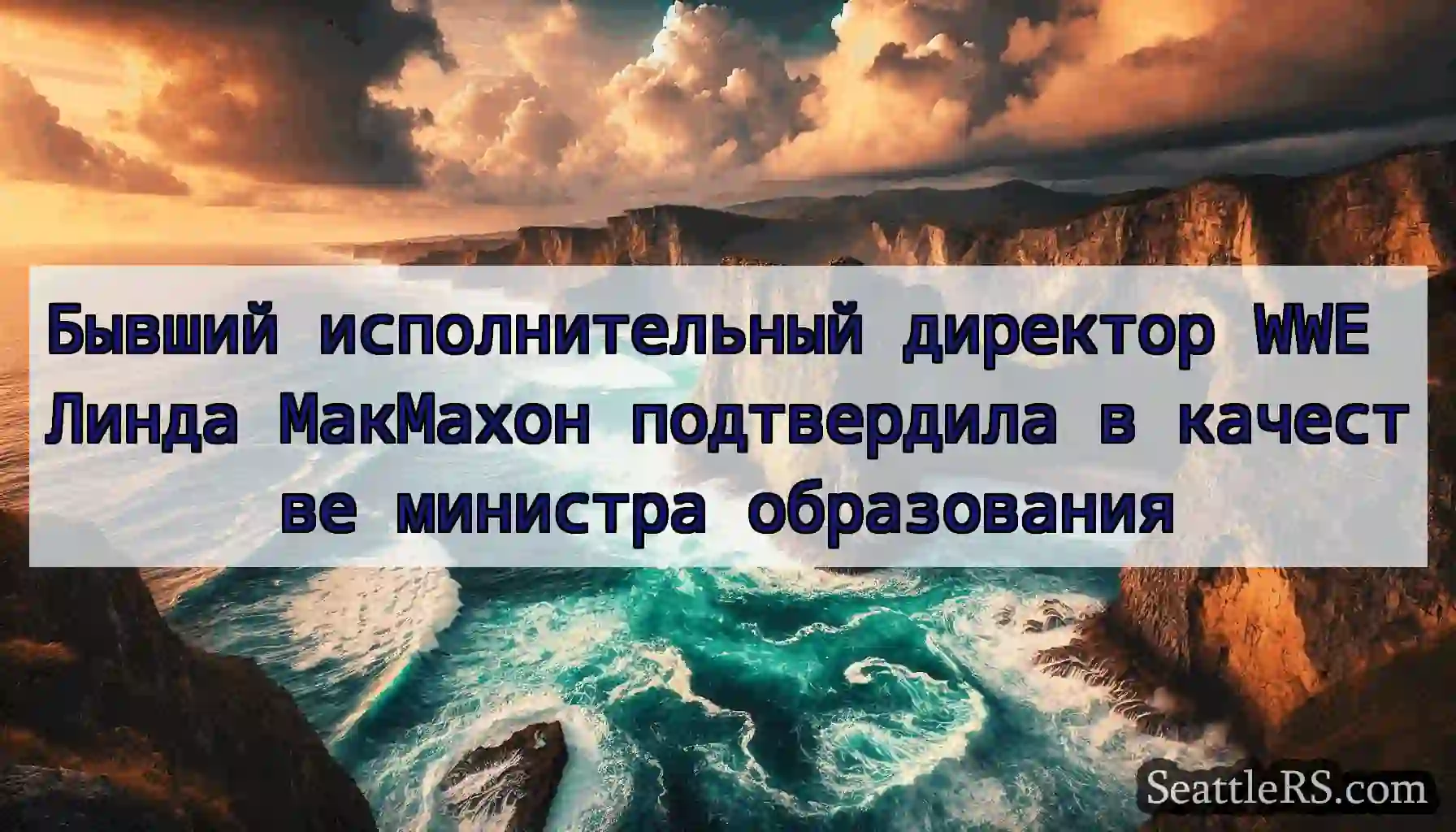Бывший исполнительный директор WWE Линда МакМахон
