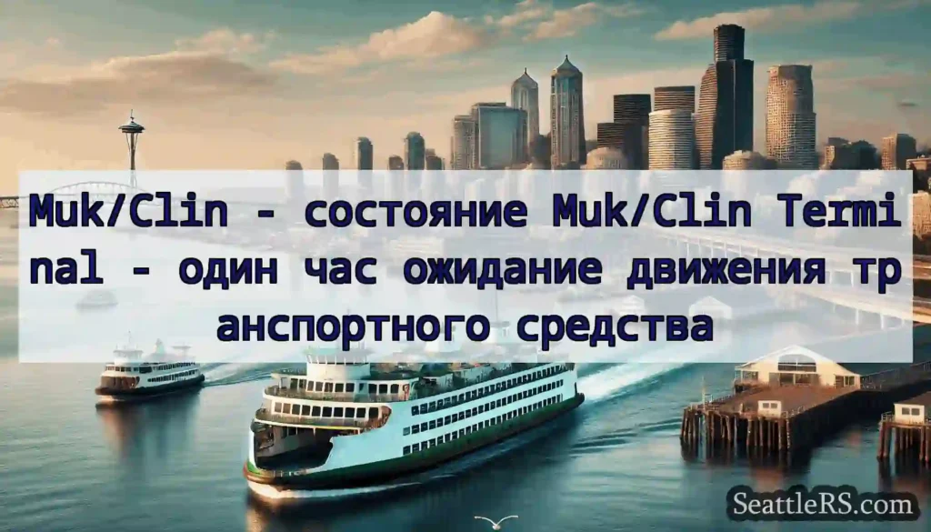 Muk/Clin - состояние Muk/Clin Terminal - один час