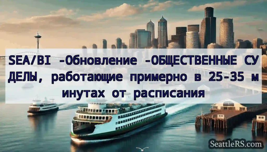 SEA/BI -Обновление -ОБЩЕСТВЕННЫЕ СУДЕЛЫ,