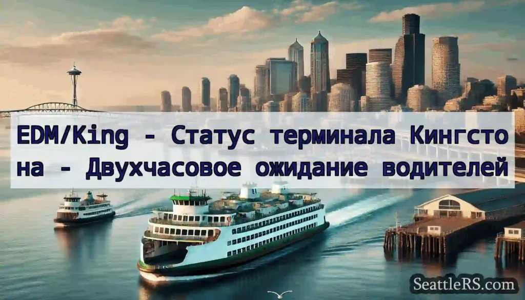 EDM/King - Статус терминала Кингстона -