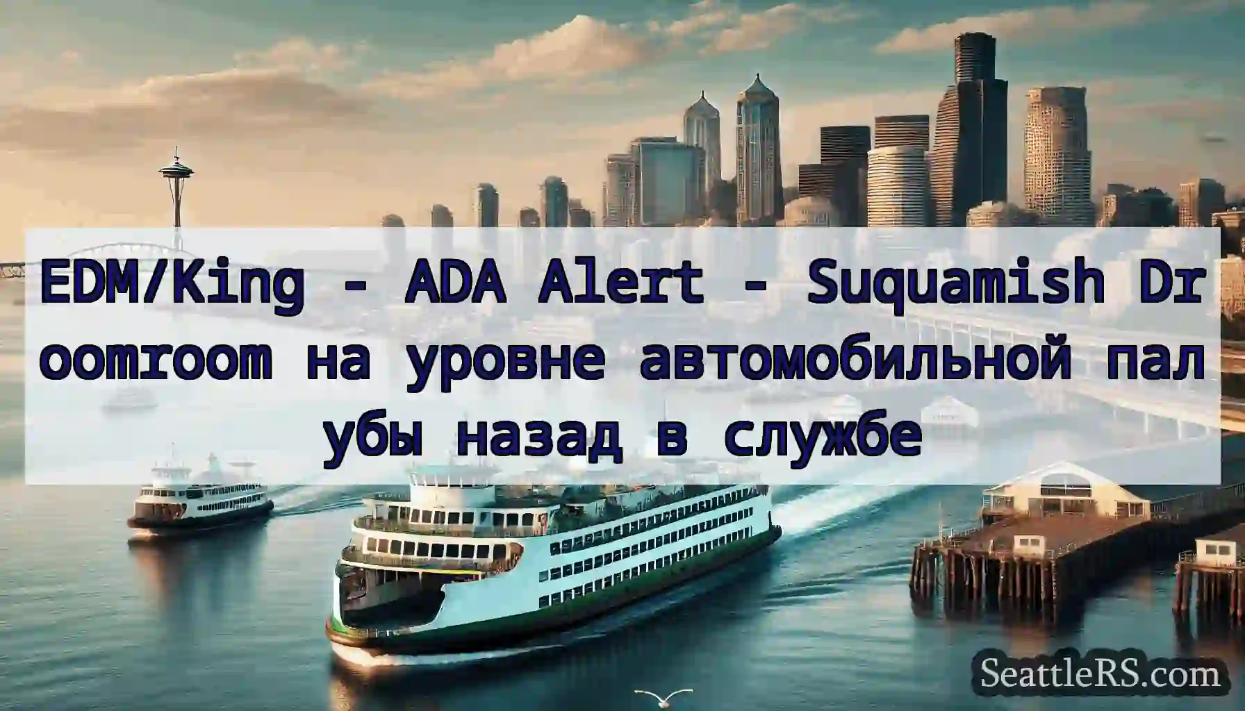 EDM/King - ADA Alert - Suquamish Droomroom на