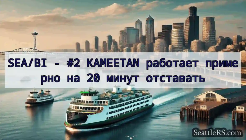 SEA/BI - #2 KAMEETAN работает примерно на 20