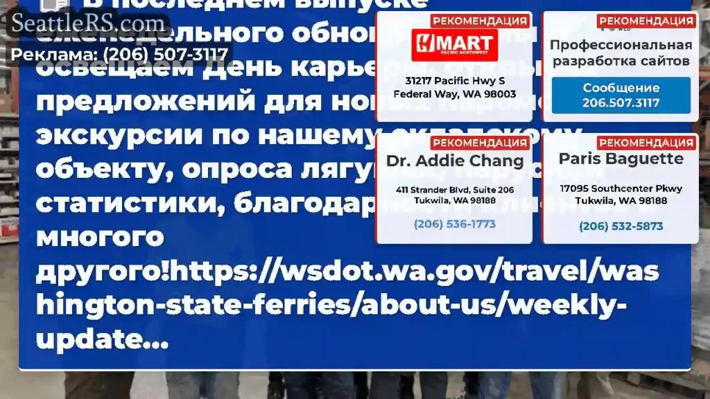 В последнем выпуске еженедельного обновления мы