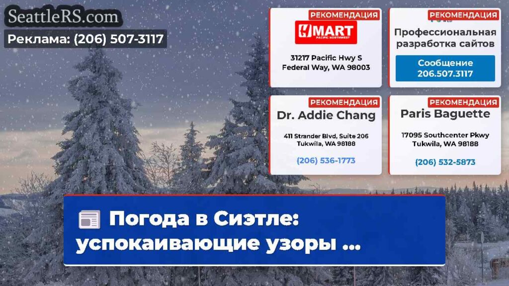 Погода в Сиэтле: успокаивающие узоры ...