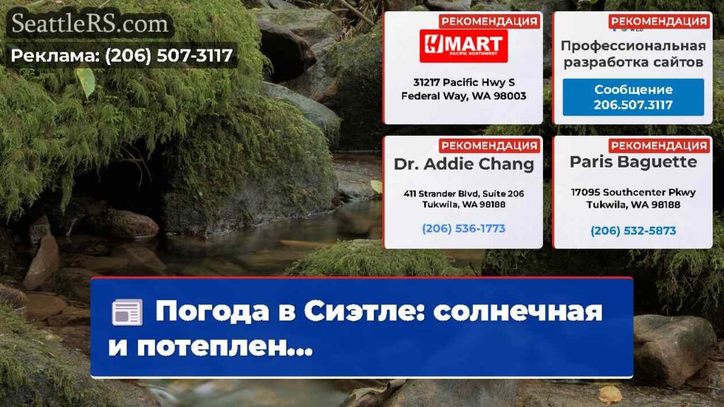Погода в Сиэтле: солнечная и потеплен...